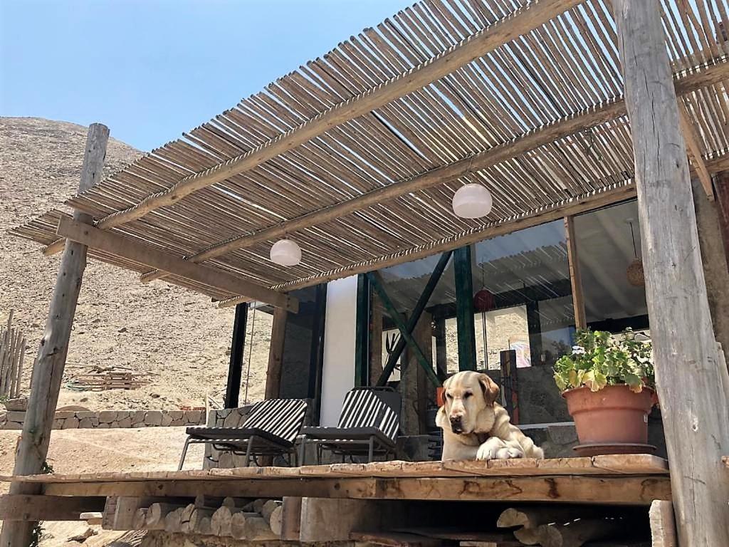 Las Cabanas De Tarii เซียเนกียา ภายนอก รูปภาพ