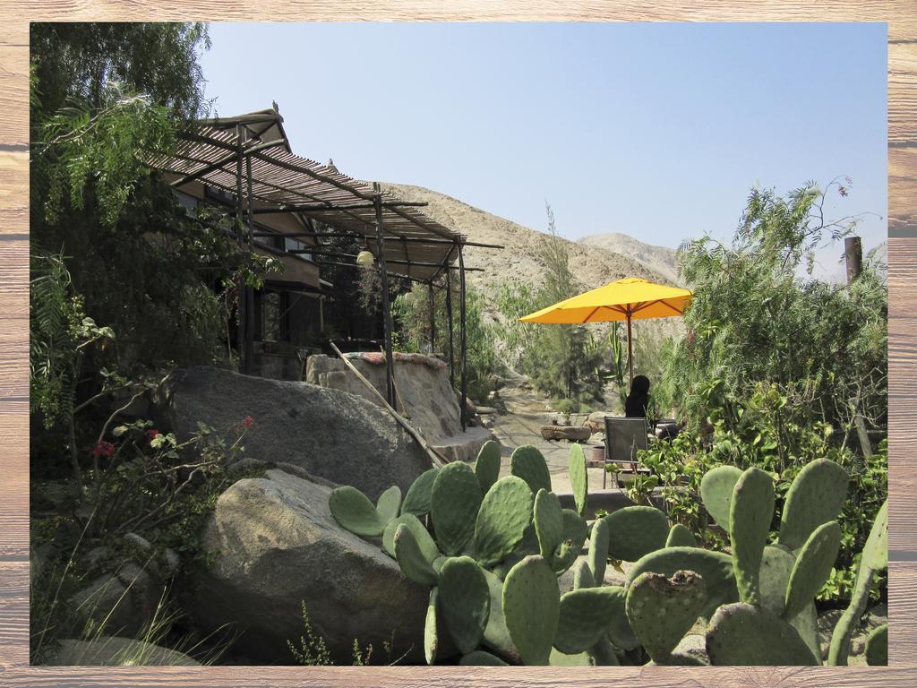 Las Cabanas De Tarii เซียเนกียา ภายนอก รูปภาพ