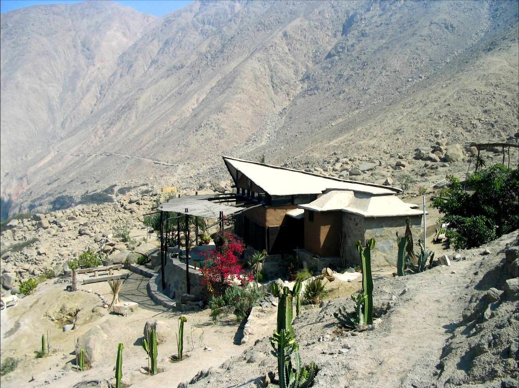 Las Cabanas De Tarii เซียเนกียา ภายนอก รูปภาพ